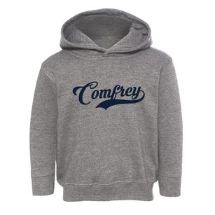 Comfrey Minnesota Vintage Team Toddler Hoodie