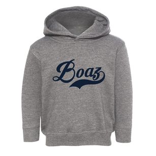 Boaz Wisconsin Vintage Team Toddler Hoodie