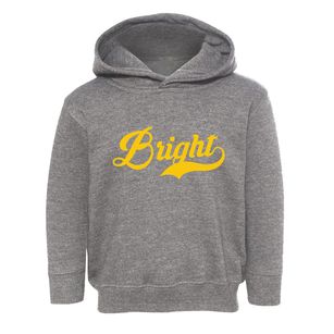 Bright Indiana Vintage Team Toddler Hoodie