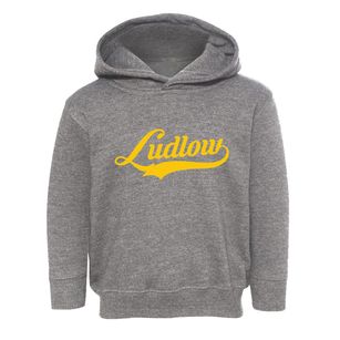 Ludlow Massachusetts Vintage Team Toddler Hoodie