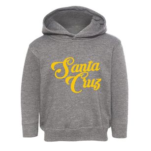 Santa Cruz California Vintage Team Toddler Hoodie
