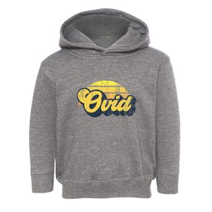 Ovid New York Sublime Sunset Toddler Hoodie
