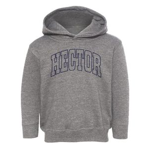 Hector New York Trendy Block Toddler Hoodie
