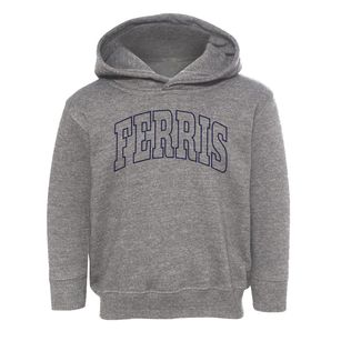 Ferris Texas Trendy Block Toddler Hoodie