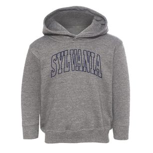Sylvania Alabama Trendy Block Toddler Hoodie