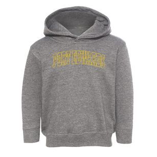 Port Edwards Wisconsin Trendy Block Toddler Hoodie