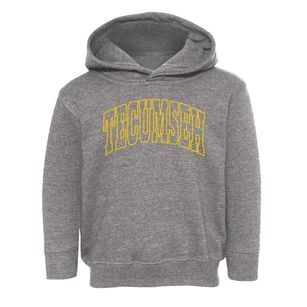 Tecumseh Nebraska Trendy Block Toddler Hoodie