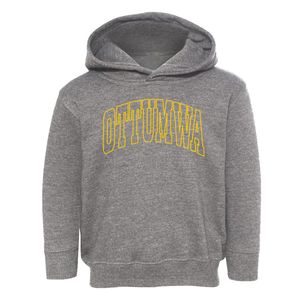 Ottumwa Iowa Trendy Block Toddler Hoodie