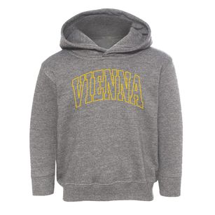Vienna Virginia Trendy Block Toddler Hoodie