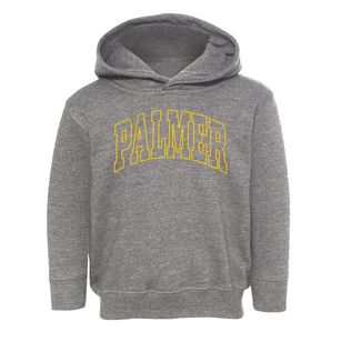 Palmer Illinois Trendy Block Toddler Hoodie