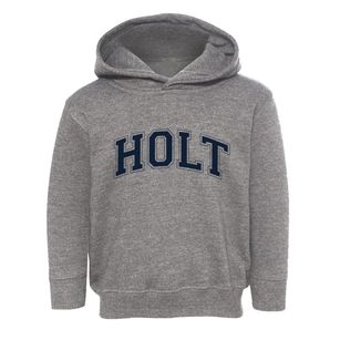 Holt Michigan Varsity Toddler Hoodie