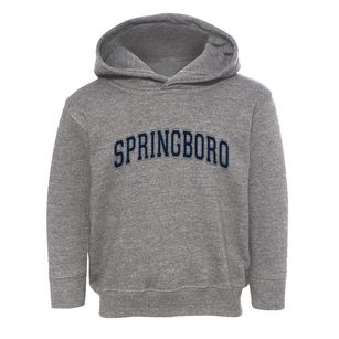 Springboro Ohio Varsity Toddler Hoodie