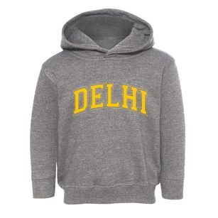 Delhi New York Varsity Toddler Hoodie