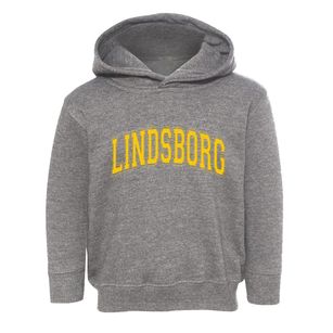 Lindsborg Kansas Varsity Toddler Hoodie