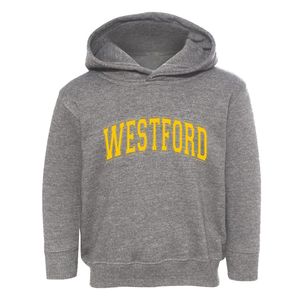 Westford New York Varsity Toddler Hoodie