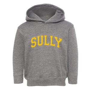 Sully Iowa Varsity Toddler Hoodie