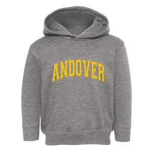 Andover Iowa Varsity Toddler Hoodie