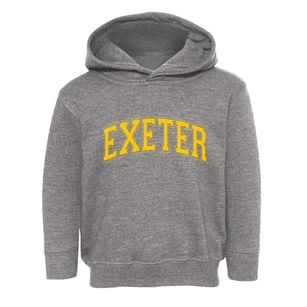 Exeter Illinois Varsity Toddler Hoodie