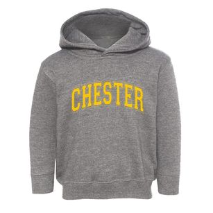 Chester New York Varsity Toddler Hoodie