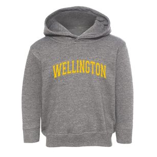 Wellington Colorado Varsity Toddler Hoodie
