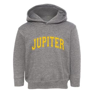 Jupiter Florida Varsity Toddler Hoodie