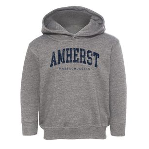 Amherst Massachusetts Urban Vibe Toddler Hoodie
