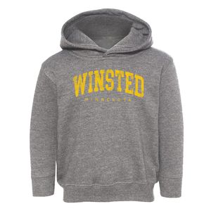 Winsted Minnesota Urban Vibe Toddler Hoodie