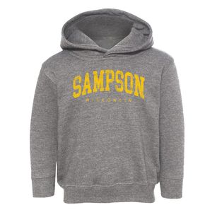 Sampson Wisconsin Urban Vibe Toddler Hoodie