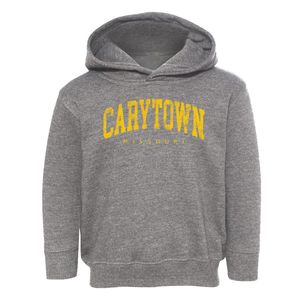 Carytown Missouri Urban Vibe Toddler Hoodie