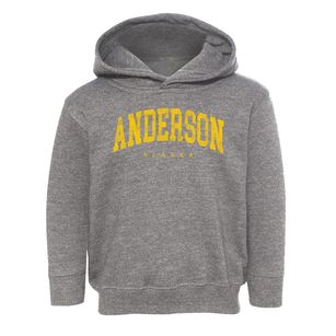 Anderson Alaska Urban Vibe Toddler Hoodie