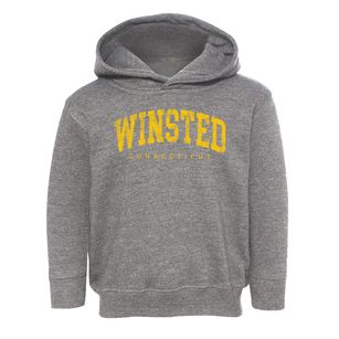Winsted Connecticut Urban Vibe Toddler Hoodie