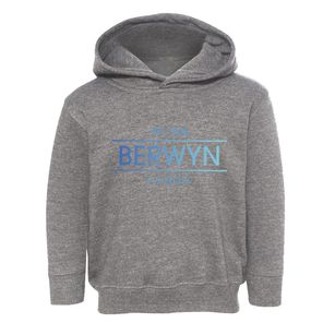Berwyn Illinois Horizon Toddler Hoodie