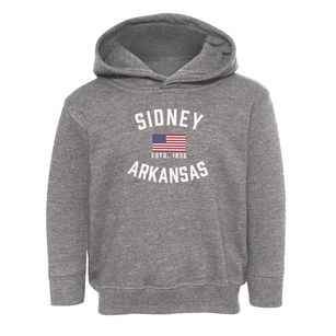 Sidney Arkansas Patriot Toddler Hoodie
