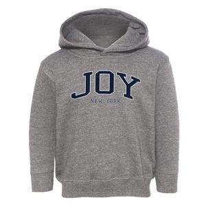 Joy New York Traditional Toddler Hoodie