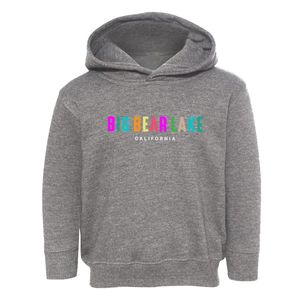 Big Bear Lake California Color Pop Toddler Hoodie