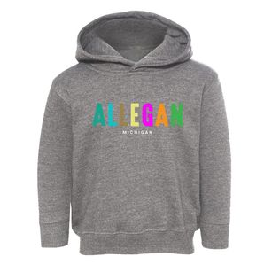 Allegan Michigan Color Pop Toddler Hoodie