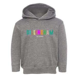 Dillingham Alaska Color Pop Toddler Hoodie