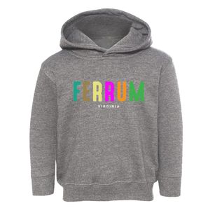 Ferrum Virginia Color Pop Toddler Hoodie
