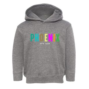 Phoenix New York Color Pop Toddler Hoodie