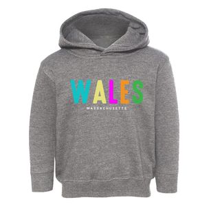 Wales Massachusetts Color Pop Toddler Hoodie