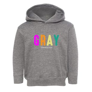 Gray Tennessee Color Pop Toddler Hoodie