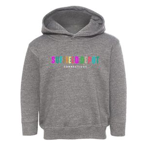 Suffield Depot Connecticut Color Pop Toddler Hoodie