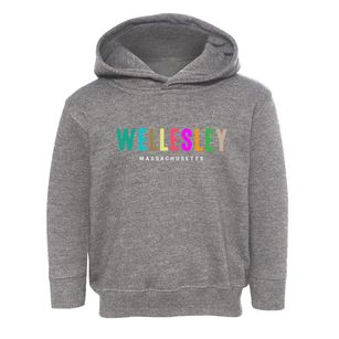 Wellesley Massachusetts Color Pop Toddler Hoodie
