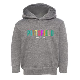 Pittsfield New York Color Pop Toddler Hoodie