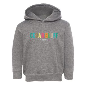 Cedar Bluff Virginia Color Pop Toddler Hoodie