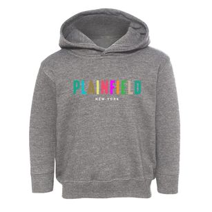 Plainfield New York Color Pop Toddler Hoodie
