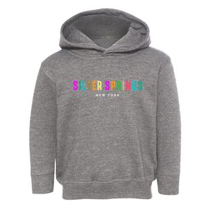 Silver Springs New York Color Pop Toddler Hoodie