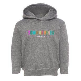 Town Of Pines Indiana Color Pop Toddler Hoodie