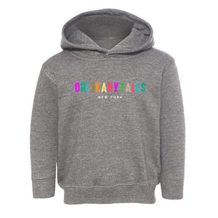 Oriskany Falls New York Color Pop Toddler Hoodie