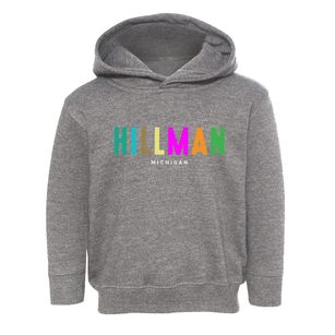 Hillman Michigan Color Pop Toddler Hoodie